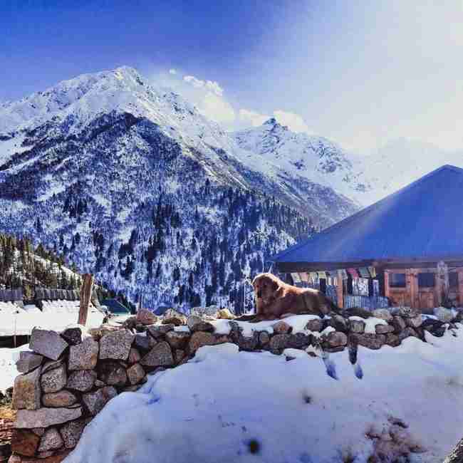 Katra, Patnitop tour with Himachal | Fantabulous Holidays