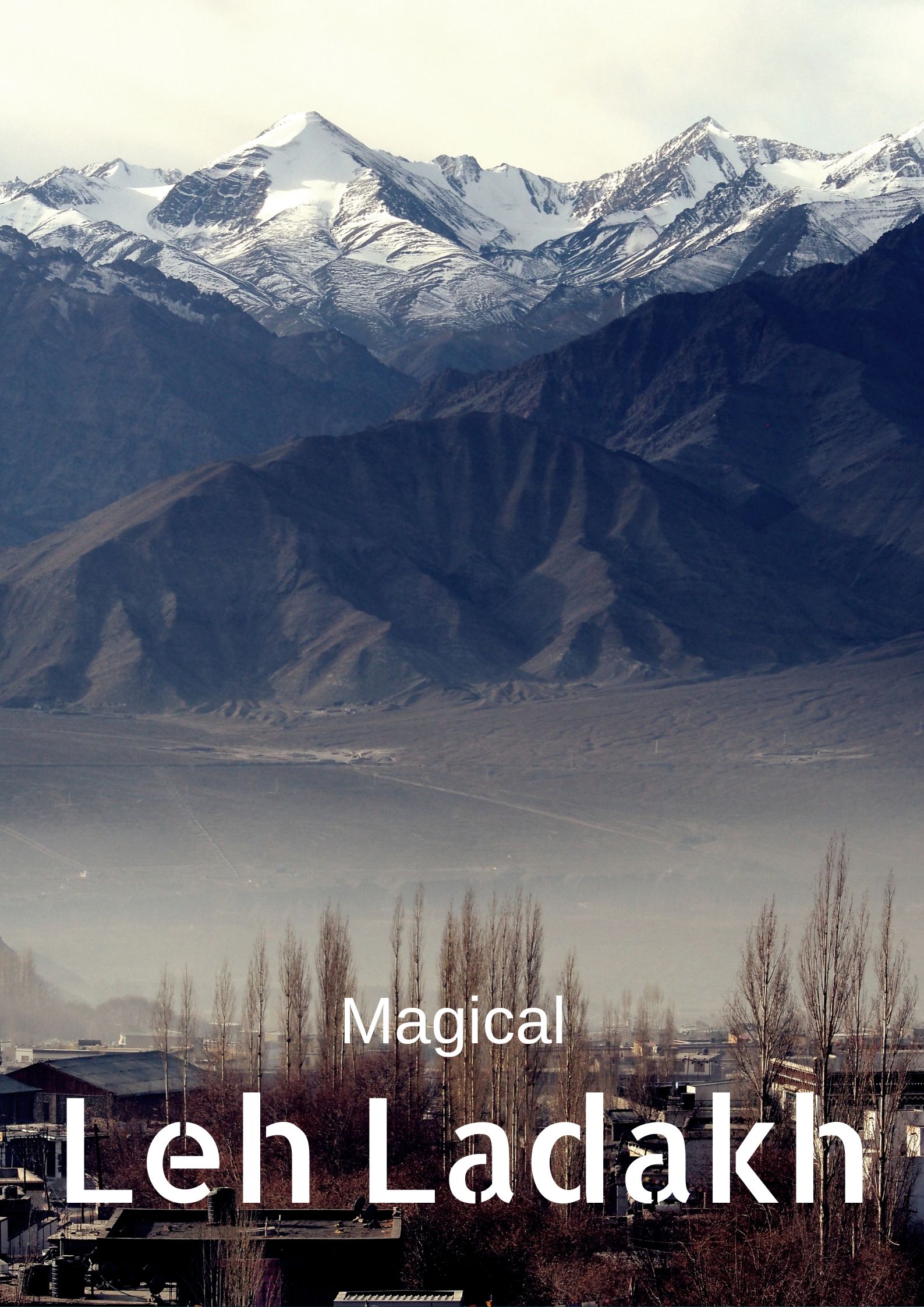 leh ladakh package